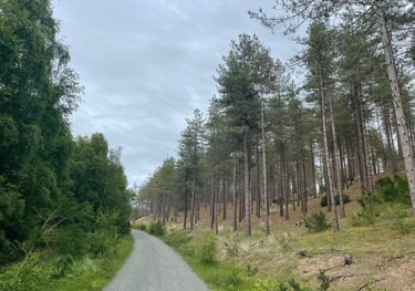 Newborough Nature Reserve