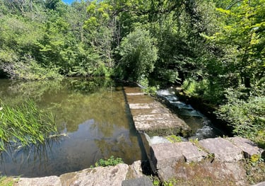 the dingle dell nature reserve