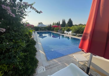 Revitalizeinturkey, mandarin grove hotel, Turkey