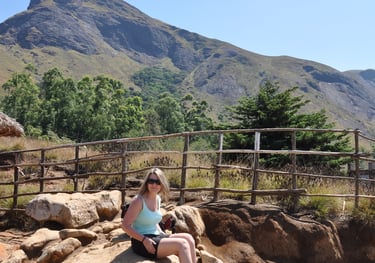 Eravikulam Nationa Park and the Nilgiri tahr goats, Kerala, India