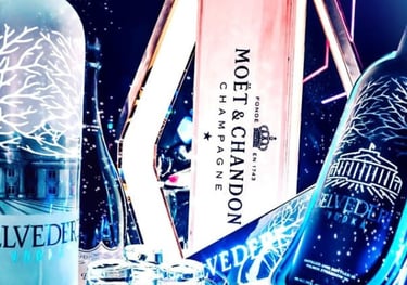 Belvedere Vodka Booth Service