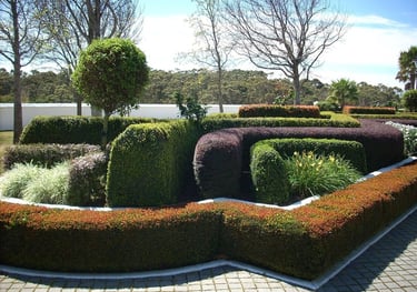 Topiary in Pocklington