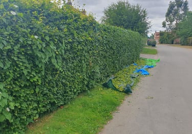 Hedge trimming in Pocklington