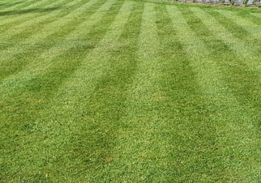 Lawn cutting in Pocklington