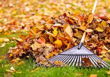Leaf collection