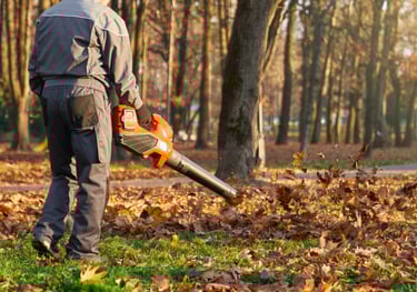 Leaf clearance in Pocklington