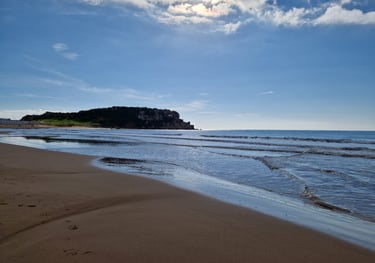 a person walking on a beach with a surfboard