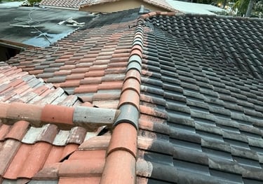 roof mold removal fort lauderdale fl