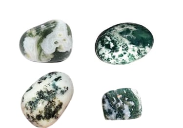 Les pierres naturelles Agate arbre Les Couleurs de Lo