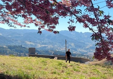a person sitting on a bench in the grass