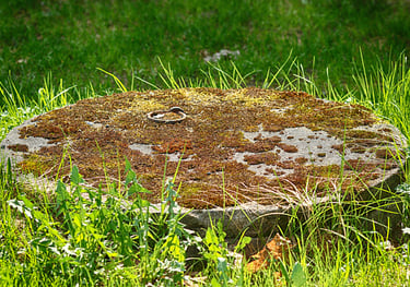 Un couvercle de fosse septique