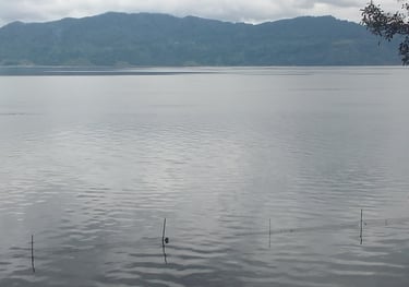 a tranquil lake with a mountain range in the background on an overcast day