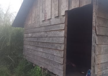 An old shed shrouded with mist.