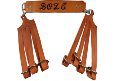 BOZE GAME CARRIERS