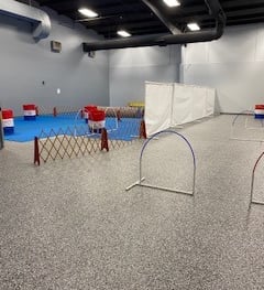 Dog Training Facilities, Dog Training Classes