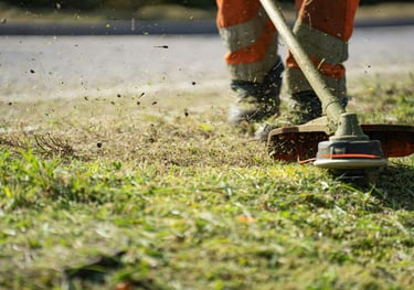 Lawn Mowing
