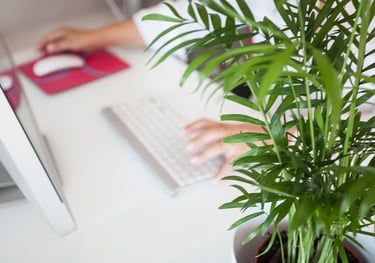 assistance mail & agenda indépendant