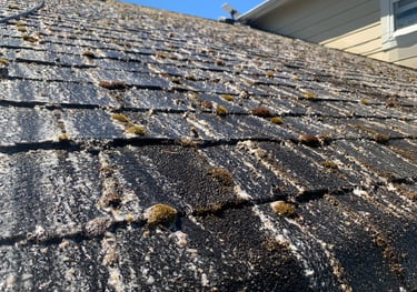 Second Chance Roofs Roof Cleaning