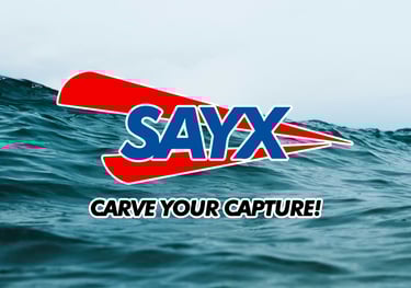 promotiva caso studio sayx lures