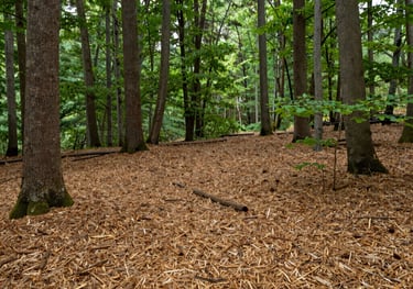 white and black abstract painting