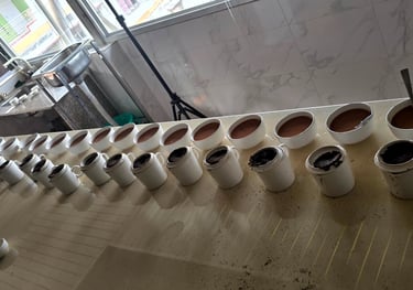 Bir Global Quality Control