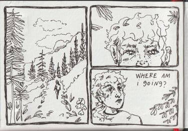 Comic panels in pen showing a person walking through a tree-lined hillside, text 'where am i going'.