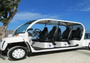public-transportation-anna-maria-island