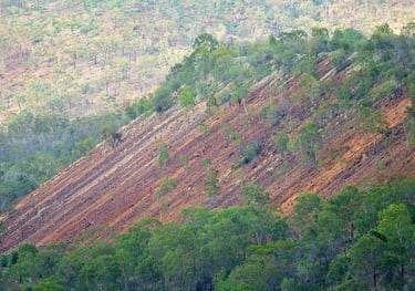 Tailings with some regrowth