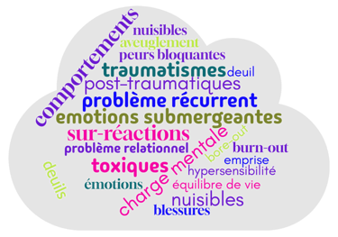 LiberaSoi: libérez vous de ce qui vous pénalise  (comportement , traumatisme, deuils, émotions submergeantes (colère, peur..