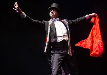 artis for hire , magician, face painter, bubble show, jugglers