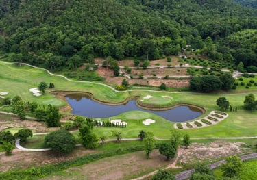 environment with artificial turf