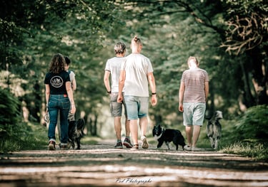 Groupe en promenade avec Viens Balader mon chien