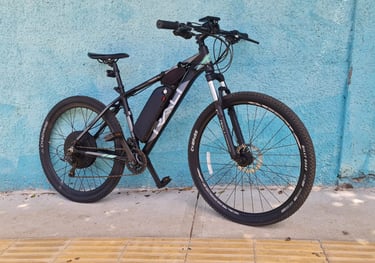 Bicicleta eléctrica