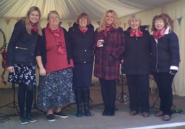 Ukuladies perform at Taurus Crafts Christmas Fair