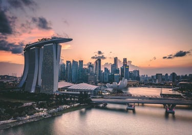 Profitable Singapore-Based Businesses