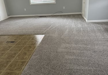 Move in and Out cleaning by Steamaster in Mid-Michigan