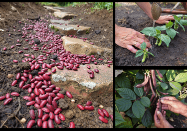 The great commission: go and make disciples of all nations.