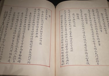 Uigwe close up (details of Joseon royal protocols)