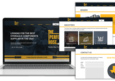 diseño web profesional creación de páginas web desarrollo de sitios web diseño de tiendas online pág