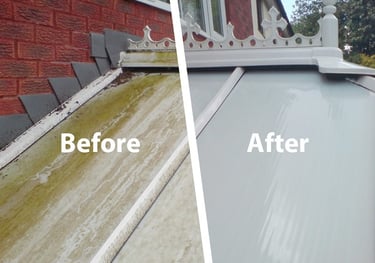 conservatory roof clean both before and after results by C-Thru, Exeter.