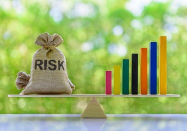 SEO Risk Management