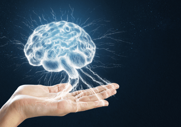 a person holding a hand with a brain map of a brain