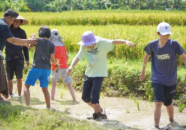 Bali rice planting