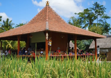 Ubud farm tour with cooking