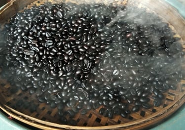 Coffee Farming Experience