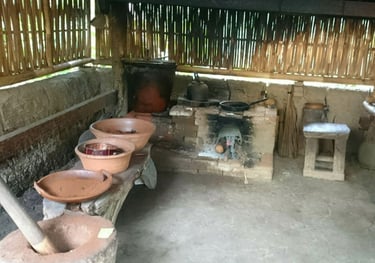 Coffee Farming Experience