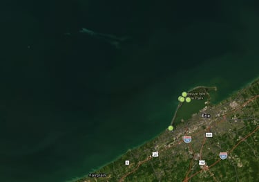 weather buoy monitoring dashboard showing real-time data such as wind speed and direction, waves