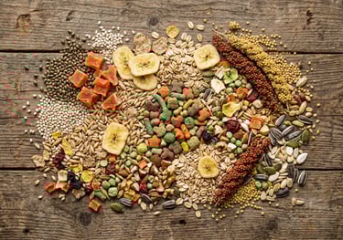 A variety of healthy small animal pet food including seeds, dried fruit, nuts, and grain on a wood background.