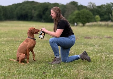 Heilpädagogische Förderung mit dem Hund