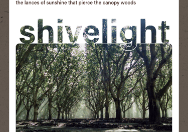 shivelight (the lances of sunshine that pierce the canopy woods